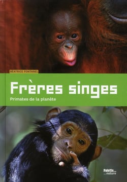 Frères singes - primates de la planète