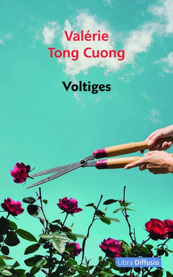 Voltiges