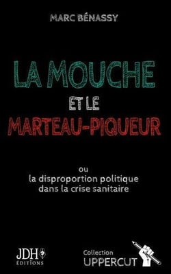 La mouche et le marteau-piqueur : ou la disproportion politique dans la crise sanitaire