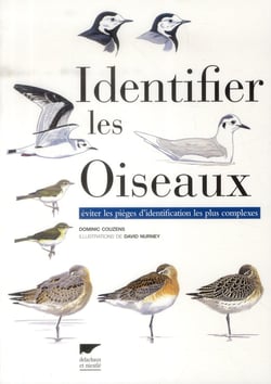 Identifier les oiseaux - éviter les pièges d'identification les plus complexes