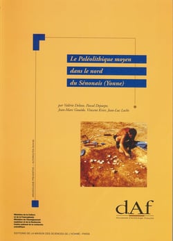 Le Paléolithique moyen dans le nord du Sénonais (Yonne) : Contexte géomorphologique, industries lithiques et chronostratigraphie
