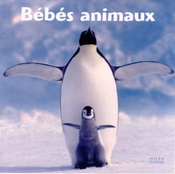 Bebes animaux
