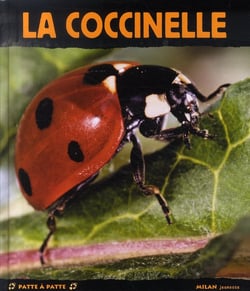 La coccinelle