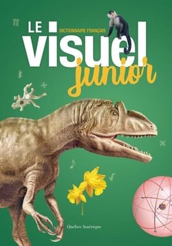 Le visuel junior : dictionnaire français