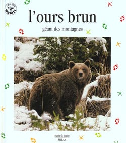 L'ours brun