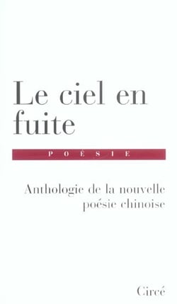 Ciel en fuite (le)