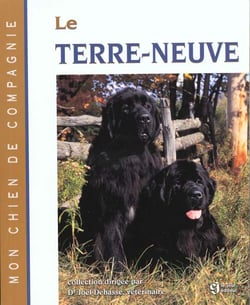 Terre neuve