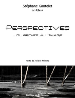 Perspectives Du Bronze A L'Image