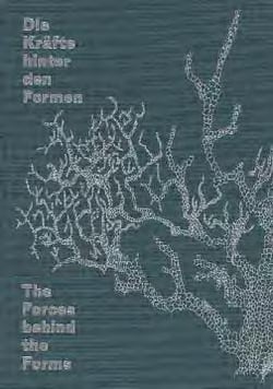The forces behind the forms