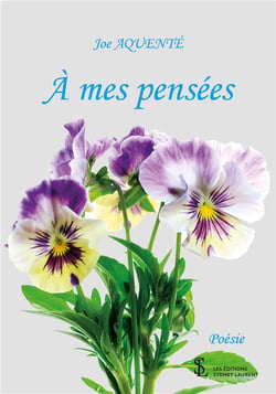 À mes pensées
