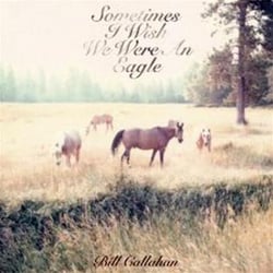 Sometimes I wish we were an eagle - CD
