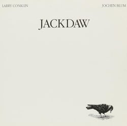 Jackdaw