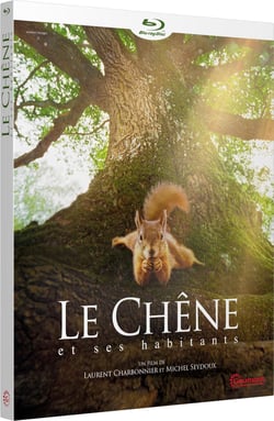 Le Chêne et ses habitants