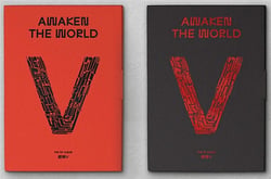 Vol. 1 : Awaken the world