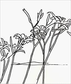 Alex katz & robert creeley edges