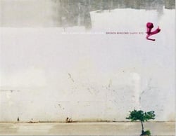 Broken windows - graffiti nyc