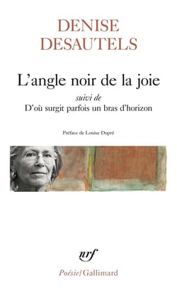 L'angle noir de la joie : d'où surgit parfois un bras d'horizon