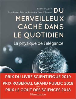 Du merveilleux caché dans le quotidien - la physique de l'élégance