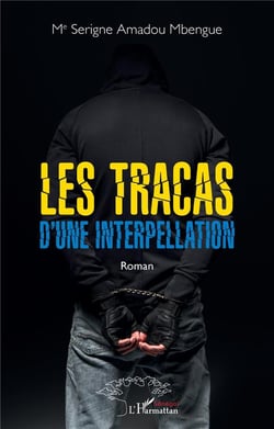 Les tracas d'une interpellation : roman