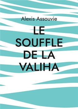 Le souffle de la valiha - monts compost'ailes