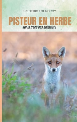 Pisteur en herbe : Sur la trace des animaux !