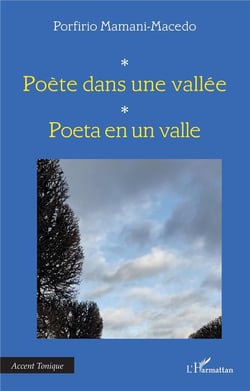 Poète dans une vallée : poeta en un valle