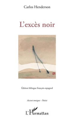 L'excès noir