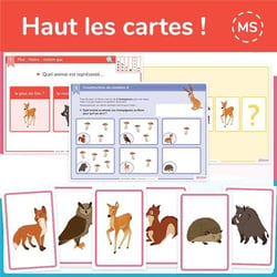 Haut les cartes ! niv. 2 PS