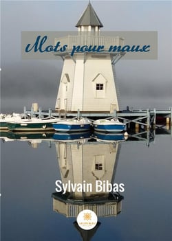 Mots pour maux