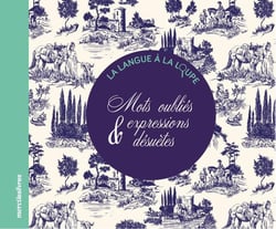 Mots oubliés et expressions désuètes