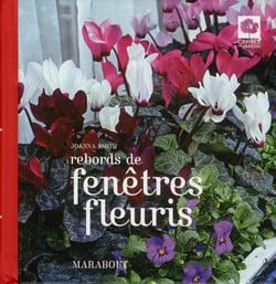 Rebords de fenêtres fleuris