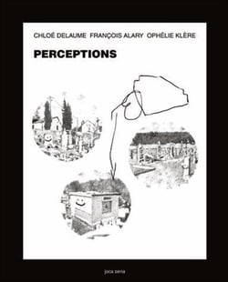 Perceptions