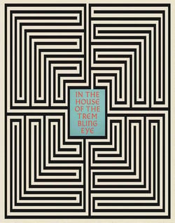 Allison Katz : In the House of the Trembling Eye