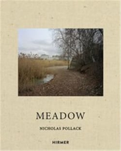 Nicholas Pollack : meadow