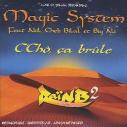 C cho, ca brûle (rai'n b fever 2)