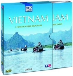 Vietnam - Du Tonkin à la Conchinchine, Quand un dragon s'éveille