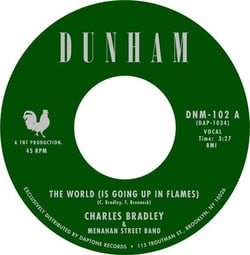 The World (Is Going Up In Flames)