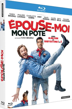 Épouse-moi mon pote