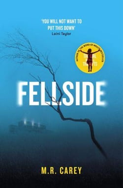 FELLSIDE