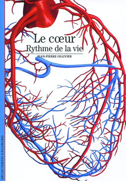 Le coeur