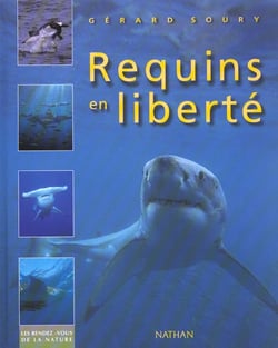 Requins en liberte
