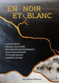 En Noir et Blanc : Anthologie de nouvelles