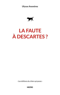 La faute à descartes ?