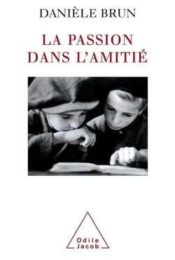 La passion dans l'amitié