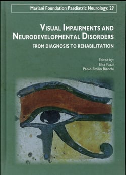 Visual impairments and neurodevelopmental disorders - from diagnosis to rehabilitation