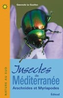 Insectes de Méditerranée