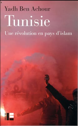 Tunisie - une révolution en pays d'islam