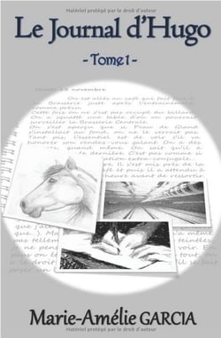 Le journal d'hugo