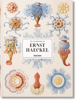 L'art et la science d'Ernst Haeckel