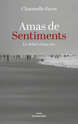 Amas de sentiments
